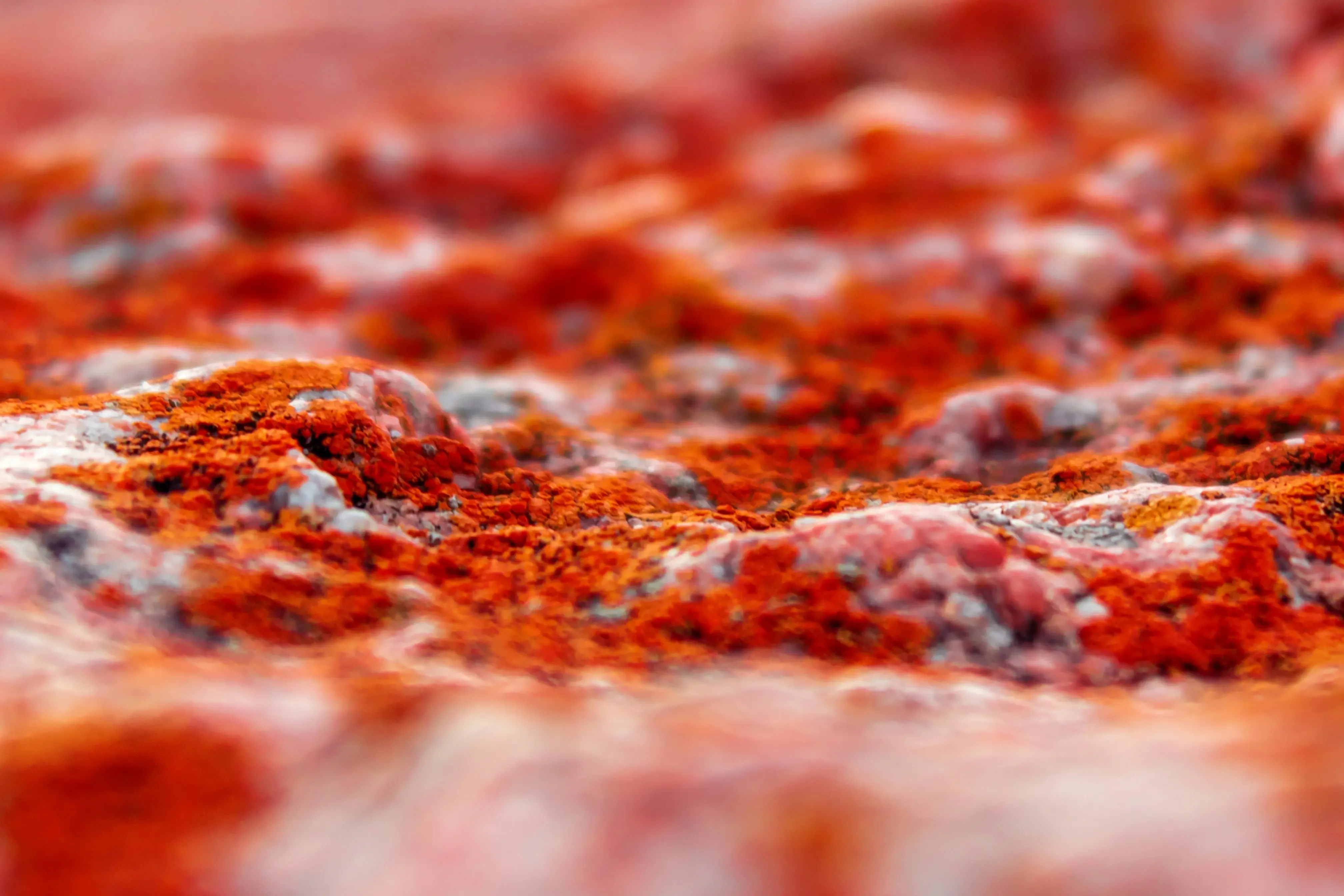 Tips for Managing Sodium Intake with Red Baron French Bread Pizza